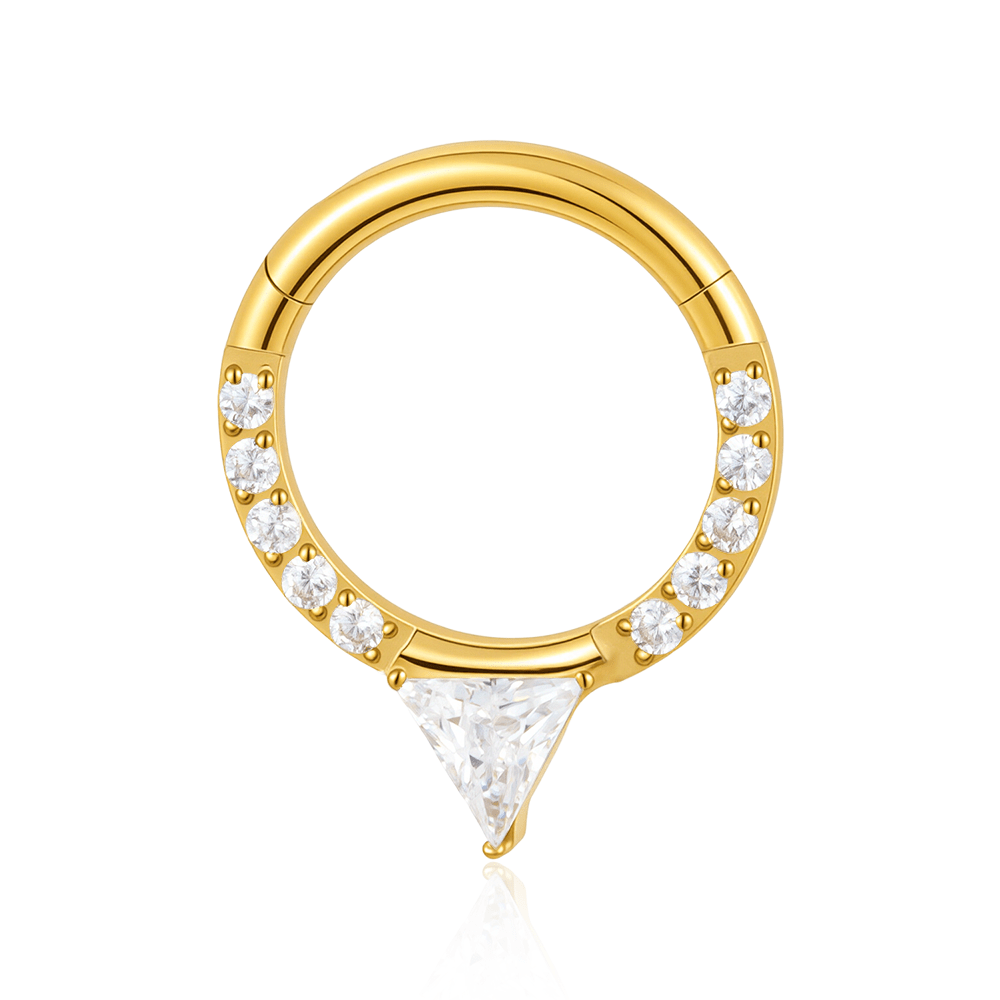 1 Golden Starry ASTM F-136 Titanium (Implant Grade) Hoop / Clicker / Seamless - Image 2
