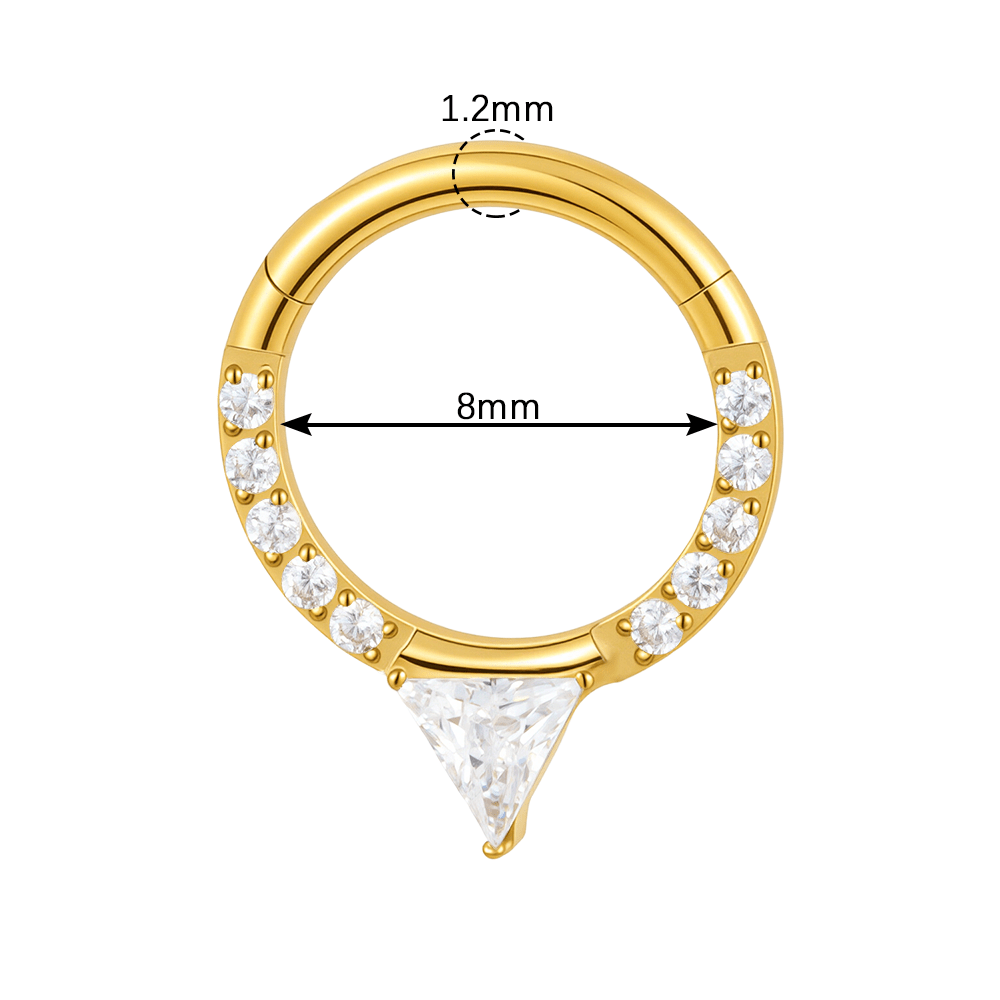9 Golden Starry ASTM F-136 Titanium (Implant Grade) Hoop / Clicker / Seamless - Image 4